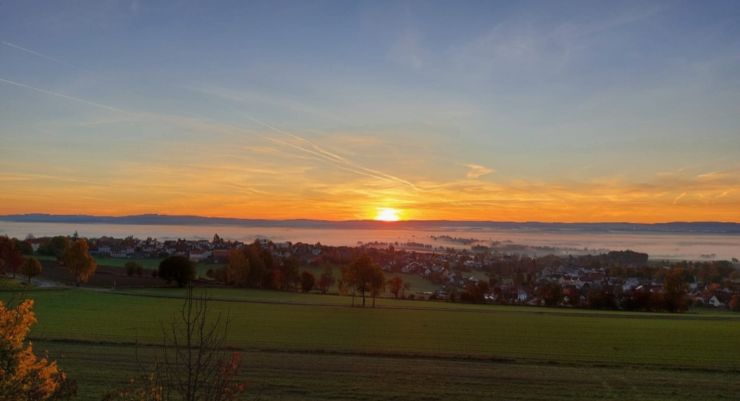 Apartment Tillenblick