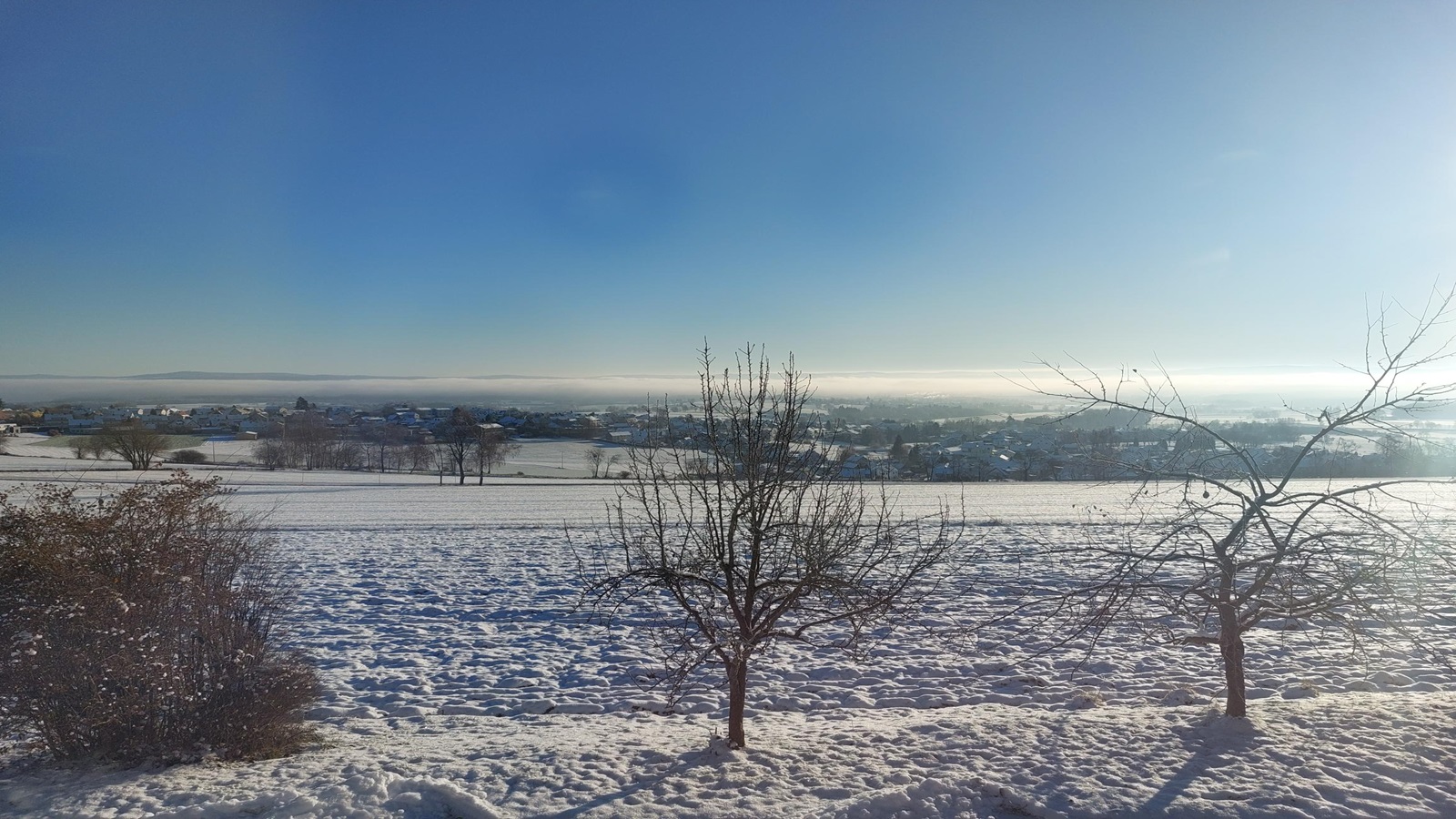 Apartment Wiesenblick